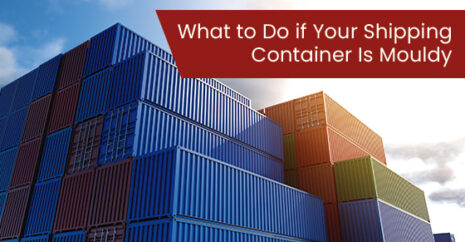 What to Do if Your Shipping Container Is Mouldy